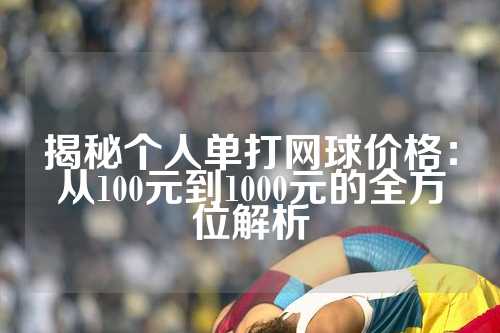 揭秘个人单打网球价格：从100元到1000元的全方位解析