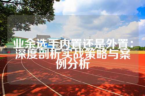 业余选手内置还是外置：深度剖析实战策略与案例分析