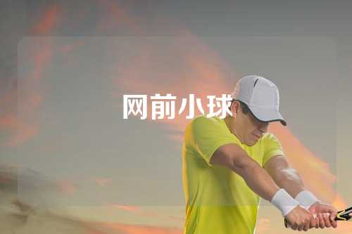 网前小球