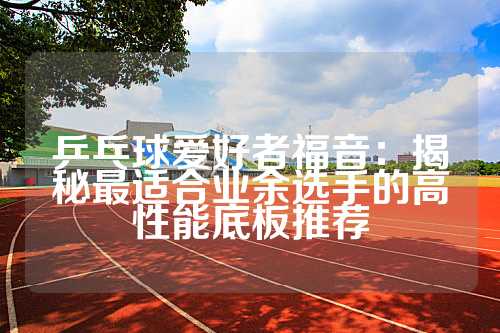 乒乓球爱好者福音：揭秘最适合业余选手的高性能底板推荐