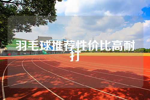 羽毛球推荐性价比高耐打