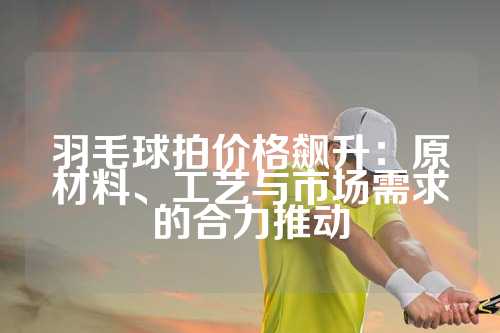 羽毛球拍价格飙升：原材料、工艺与市场需求的合力推动