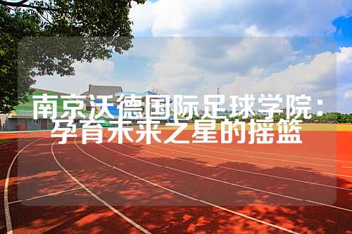 南京沃德国际足球学院：孕育未来之星的摇篮