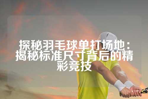 探秘羽毛球单打场地：揭秘标准尺寸背后的精彩竞技