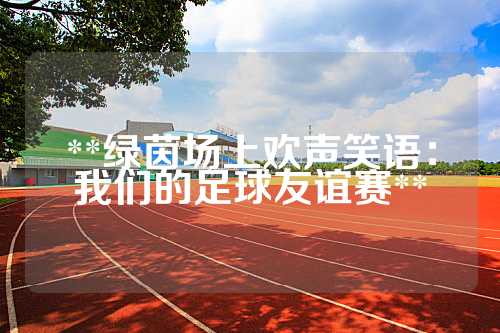 **绿茵场上欢声笑语：我们的足球友谊赛**