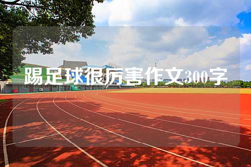踢足球很厉害作文300字
