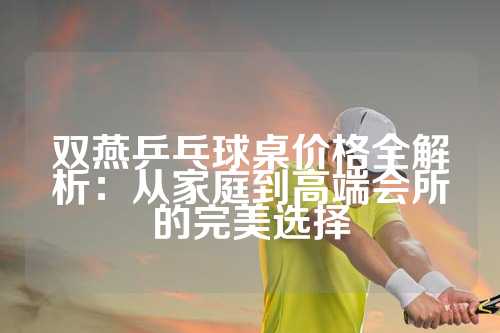 双燕乒乓球桌价格全解析：从家庭到高端会所的完美选择