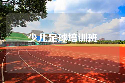 少儿足球培训班