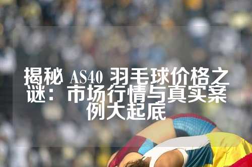 揭秘 AS40 羽毛球价格之谜：市场行情与真实案例大起底