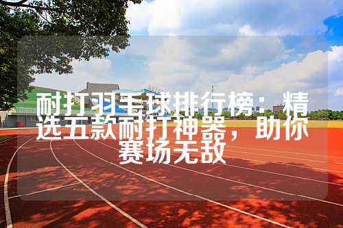 耐打羽毛球排行榜：精选五款耐打神器，助你赛场无敌