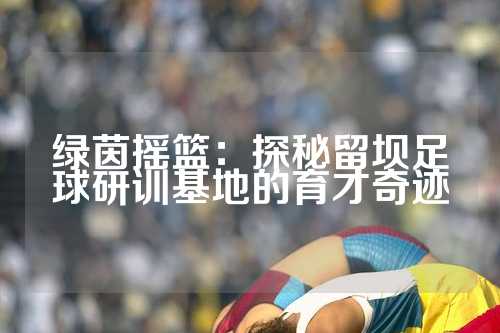 绿茵摇篮：探秘留坝足球研训基地的育才奇迹