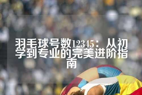 羽毛球号数12345：从初学到专业的完美进阶指南