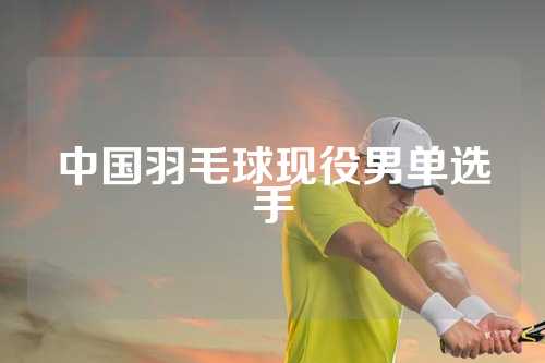 中国羽毛球现役男单选手