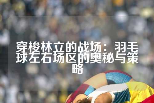 穿梭林立的战场：羽毛球左右场区的奥秘与策略