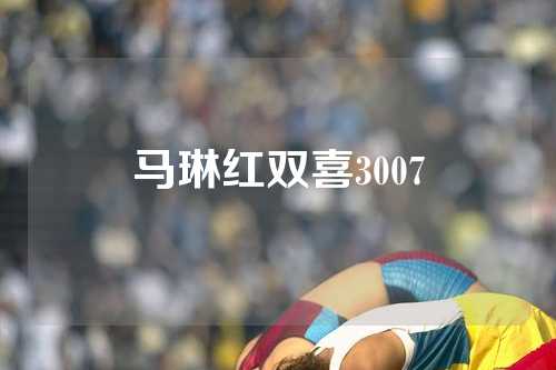 马琳红双喜3007